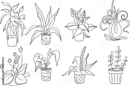 set of hand drawn potted flowers. vector illustration