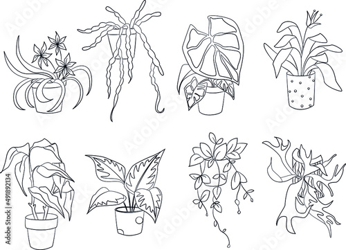 set of hand drawn potted flowers and houseplants. vector illustration