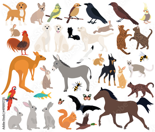 set of flat design animals, isolated, vector