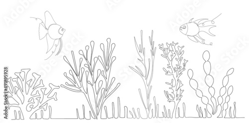 algae drawing in one continuous line, isolated vector