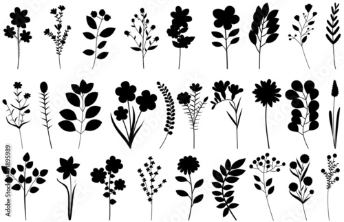 plants set black silhouette, isolated vector