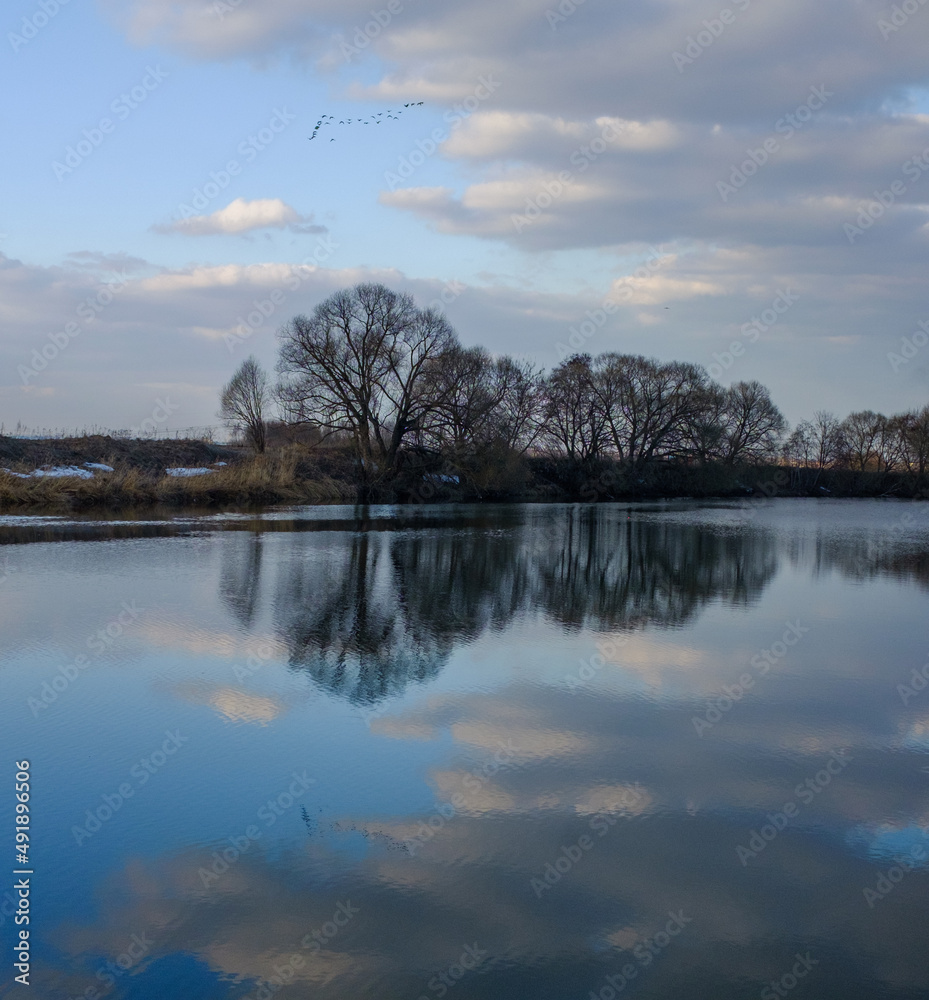 Fototapeta premium Sspring river symmetrical scape. Blue water and reflection, bare trees, beautiful clouds on blue sky. Migrating birds in the sky.