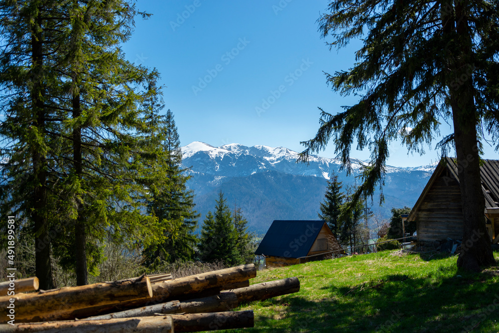 Drzewa łąka domki oraz góry tatry w tle
