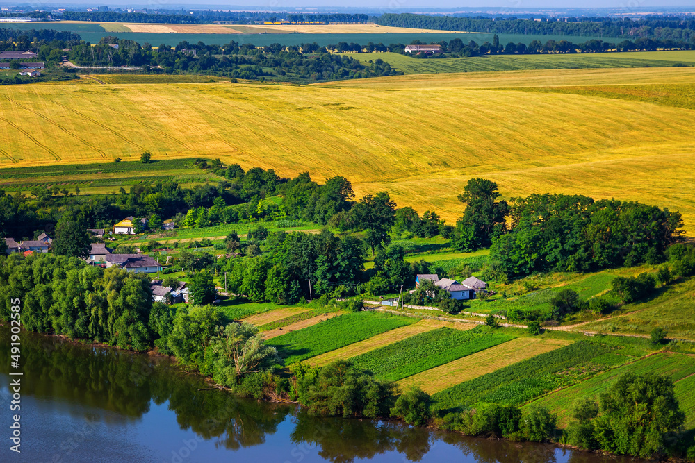 Obraz premium Wheat field on a sunny day. Beautiful landscapes of Ukraine.