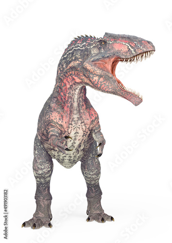 giganotosaurus is angry on white background