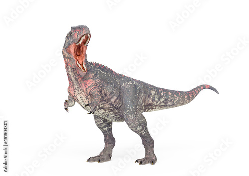 giganotosaurus is looking back on white background © DM7
