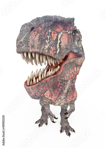 giganotosaurus id portrait on white background