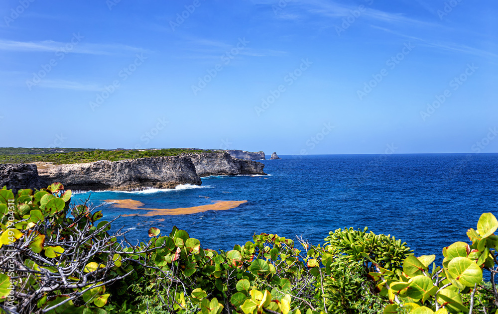 North coast landscape, Grande-Terre, Guadeloupe, Lesser Antilles, Caribbean.