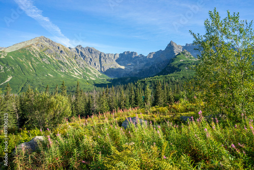 Green meadows with great peaks in the background. Gasienicowa Valley. Tatra mountains.