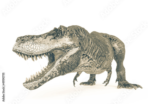 tyrannosaurus rex is looking to the side in white background
