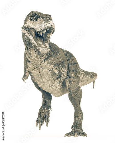 tyrannosaurus rex is standing up in white background © DM7