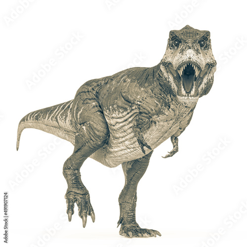 tyrannosaurus rex is walking and staring you in white background © DM7