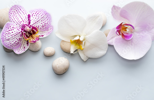 purple orchid flower on light blue background and sea salt. spa and skincare concept. relax  meditation mood. natural. mineral grains  wellnes.space for text. sea salt arranged wave shape.