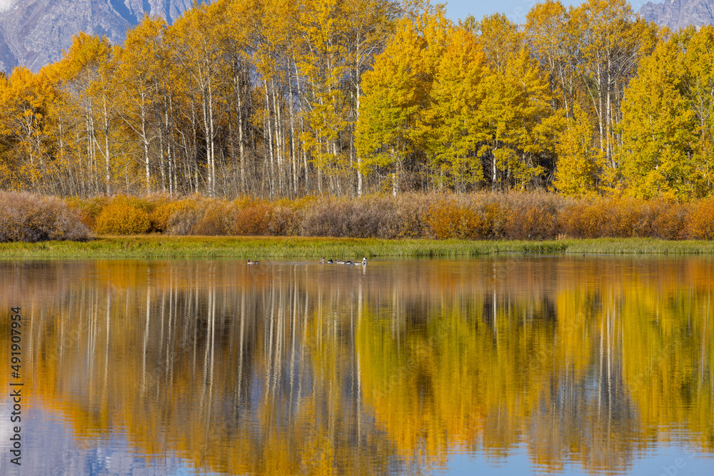 Scenic Autumn Landscape in Grand Teton National Park Wyoming Scenic Autumn Landscape in Grand Teton National Park Wyoming