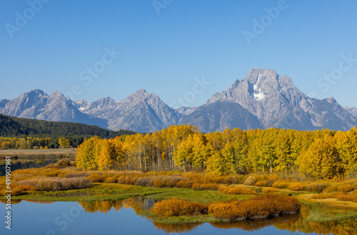Scenic Autumn Landscape in Grand Teton National Park Wyoming © natureguy