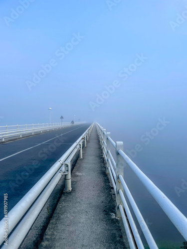 bridge into fog © Elena