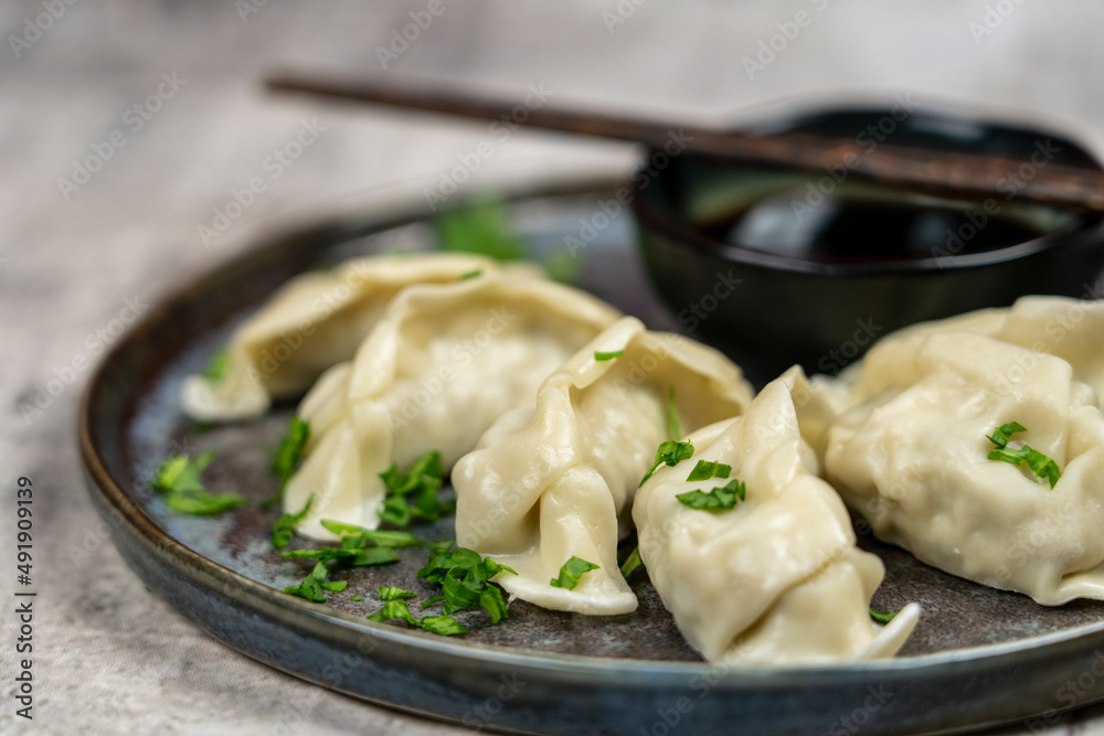 Gyoza or dumplings snack with soy sauce, selective focus, copy space.and chopsticks, sideview. Gyoza or dumplings snack with soy sauce, selective focus, copy space.and chopsticks, sideview.