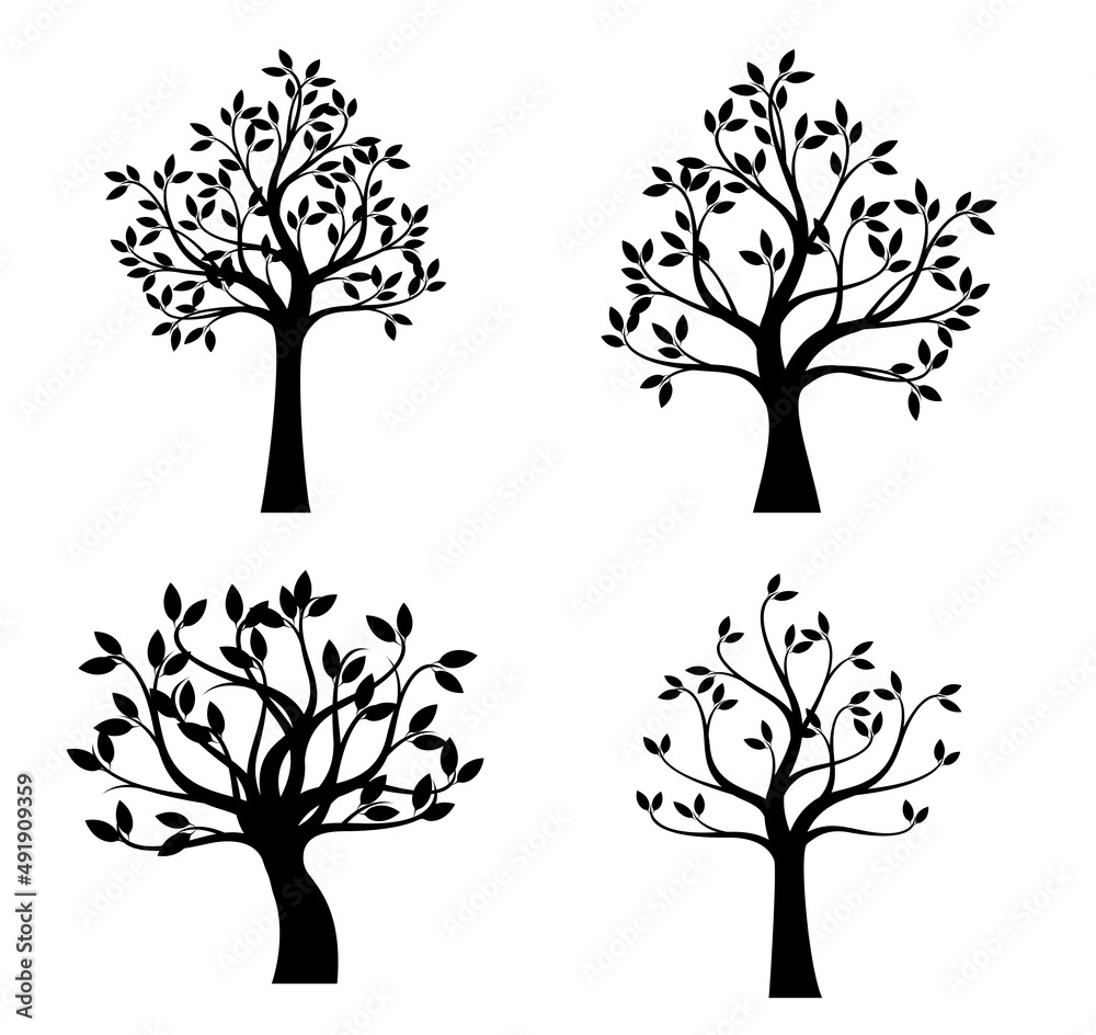 Obraz premium Set Black Trees. Vector outline Illustration.