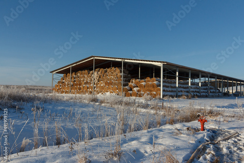 Fotografia Canopy with hay in winter