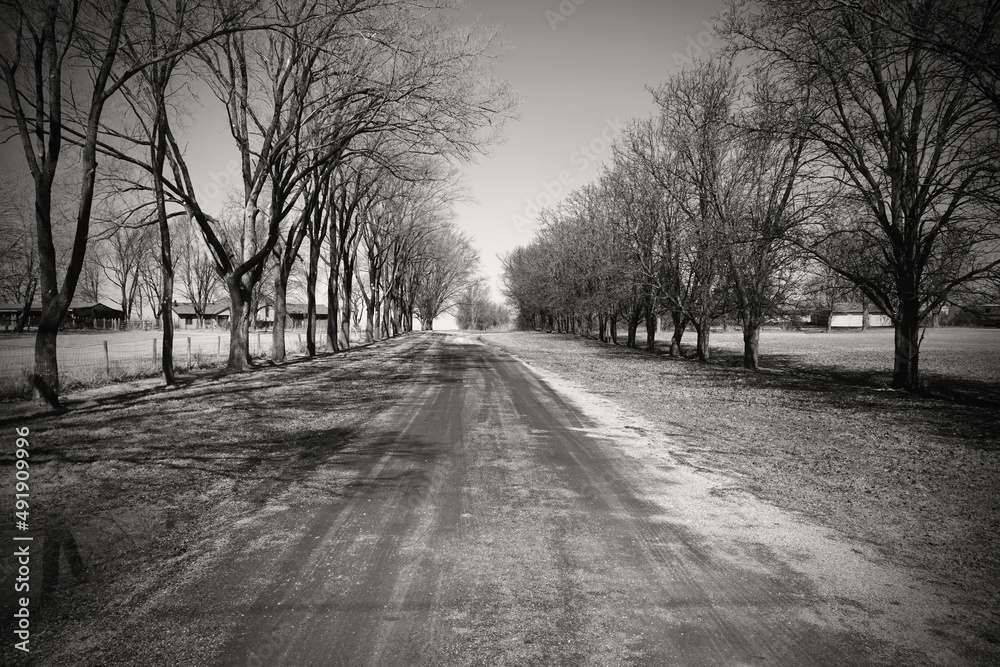 winding road in the winter black and white winding road in the winter black and white
