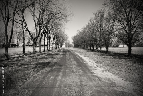 winding road in the winter black and white © Nine Photography