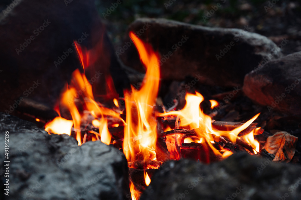 Fire flames in the forest Fire flames in the forest