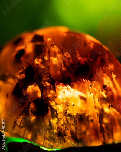 Amber World
