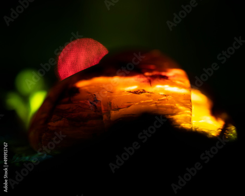 Amber Moon