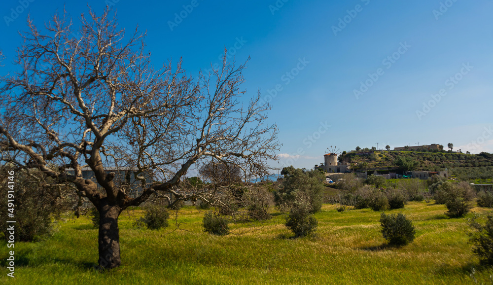 DATCA, MUGLA, TURKEY: The old Turkish windmill Datca Vineyard, now a cafe and wine tasting.