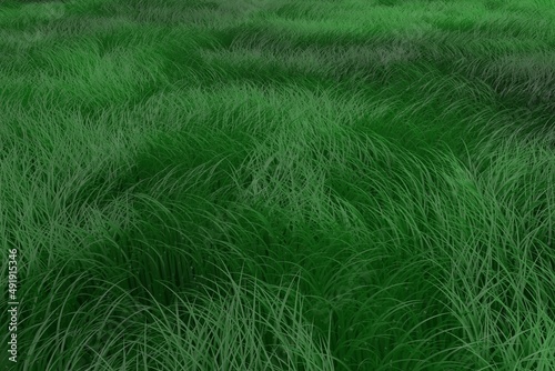 Green grass background 3d render grass.