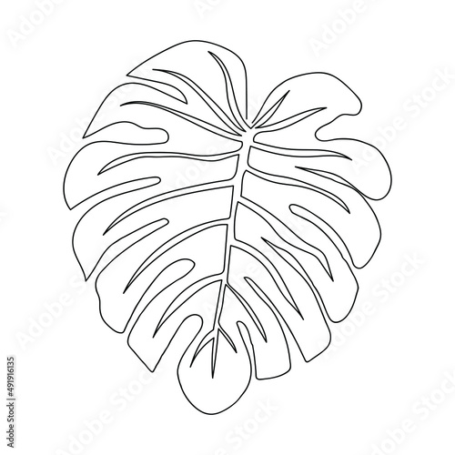monstera leaf one line drawing vector illustration minimalist design minimalism style hand drawn isolated one white background