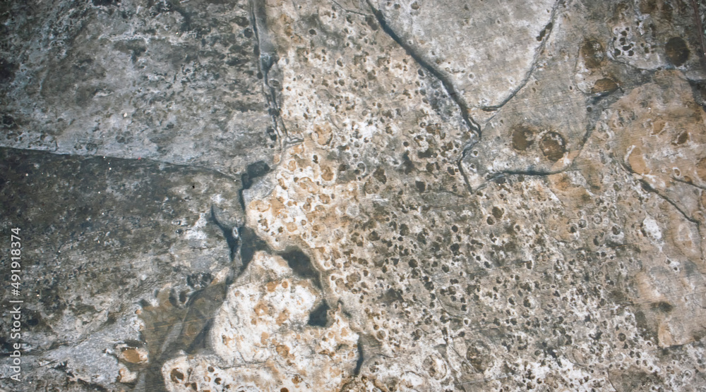Fototapeta premium stone texture surface