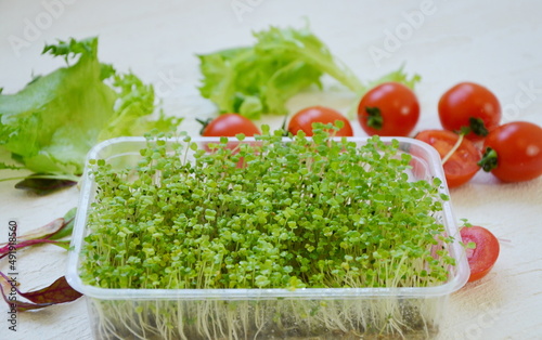 microgreens for salad in a box. germinated seeds and tomatoes. healthy cooking products