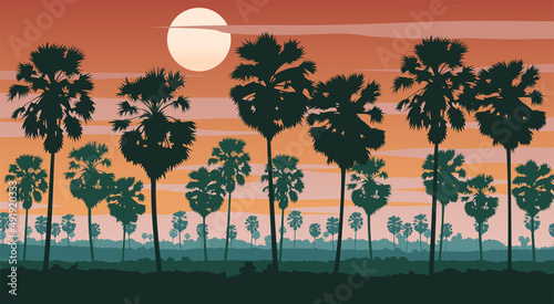 Silhouette scenery of landscape of Asia on tropical area with palm tree forest,vector illustration photo