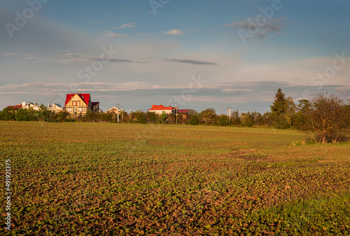 Horizontal landscape of flat field with fresh spring grass. Village, country ...