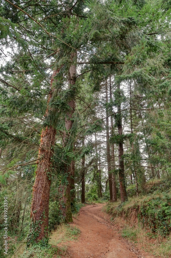 survol d'un massif forestier et d'une foret en Espagne Stock Photo