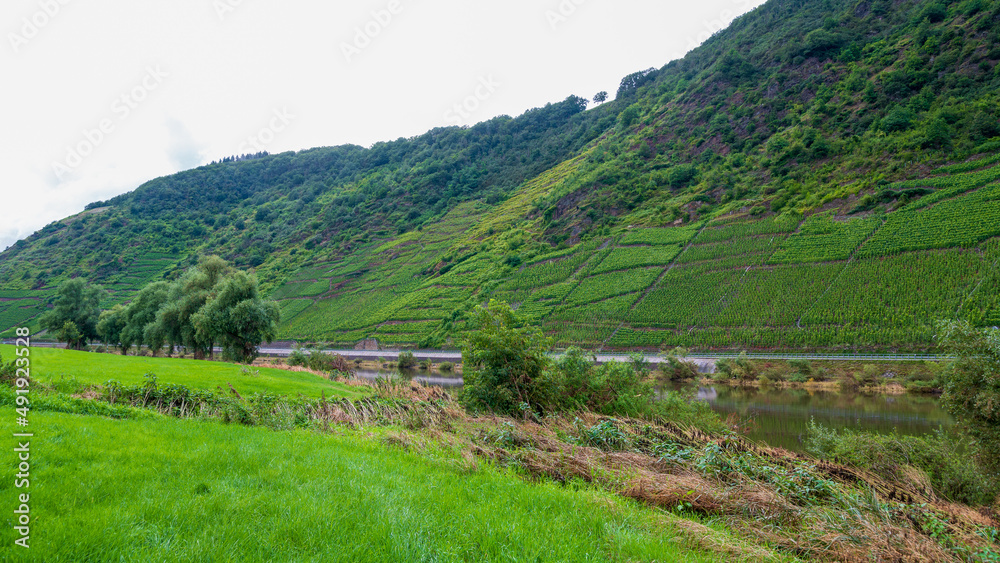 landscape with vineyards in the moselle valley landscape with vineyards in the moselle valley