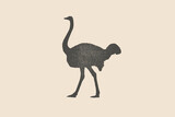 Silhouette of an ostrich is drawn with a stamp effect. Bird. Vintage emblem. Design element for shop, market, packaging, labels, and logo. Vector illustration.