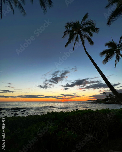 Fototapeta Naklejka Na Ścianę i Meble -  Colorful sunset with palm trees