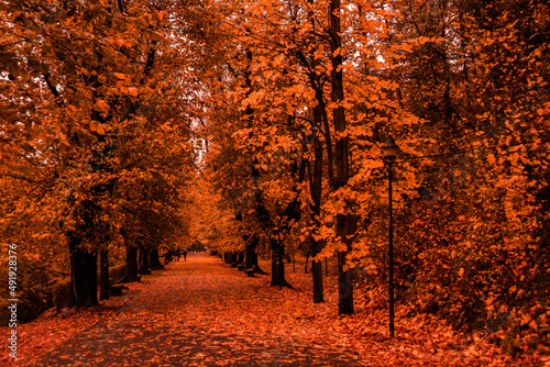 Viale autunnale