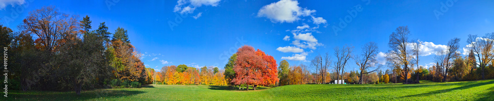 Autumn orange, red, yellow trees leave and blue sky and white clouds panorama