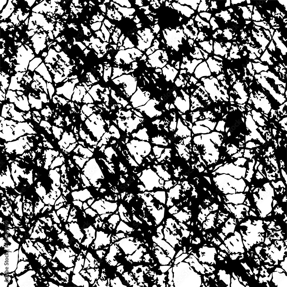Obraz premium Black And White Urban Vector Texture Template.