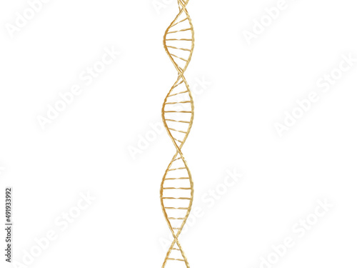 Segment of golden DNA structure on white background