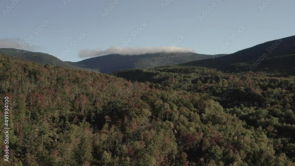 Establishing aerial over early Fall colored woodland wilderness Establishing aerial over early Fall colored woodland wilderness
