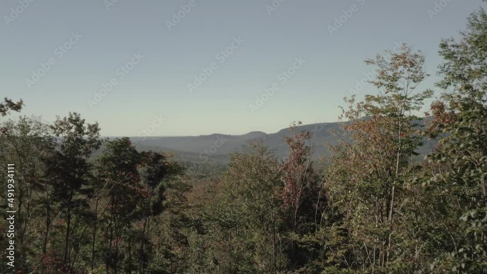 Flying through tree canopy to reveal vast wilderness expanse Aerial Flying through tree canopy to reveal vast wilderness expanse Aerial