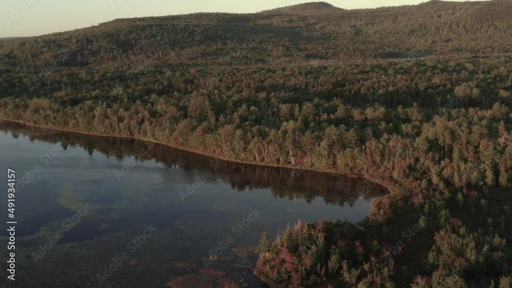 Golden hour light shines on lake through dense woodland landscape Aerial Golden hour light shines on lake through dense woodland landscape Aerial