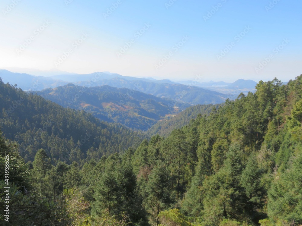 view from the mountain in Michoacan, Mexico