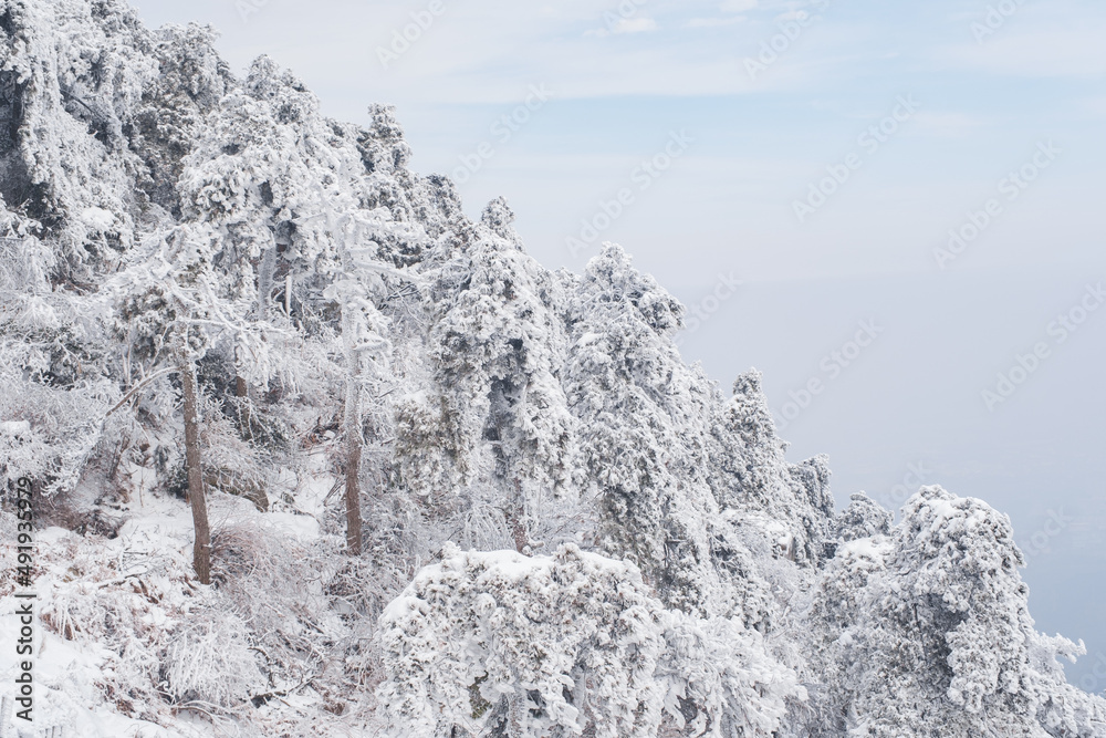 Winter snow scene in Lushan 5A Scenic Area, Jiujiang City, Jiangxi Province Winter snow scene in Lushan 5A Scenic Area, Jiujiang City, Jiangxi Province