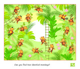 Logic puzzle game for children and adults. Can you find two identical monkeys? Page for kids brain teaser book. Task for attentiveness. IQ test. Play online. Jungle animals. Vector cartoon image.