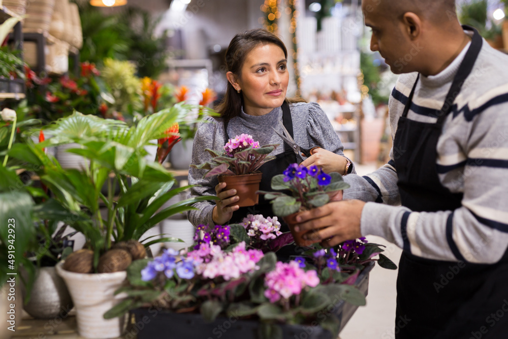 Flower shop employees take care of flowers together - cut withered leaves